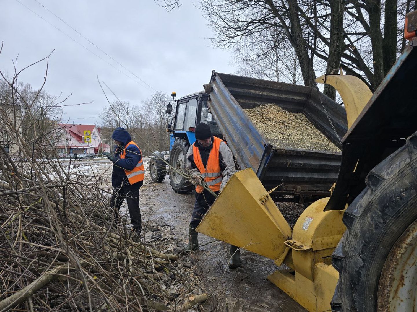 можайск, можайский муниципальный округ, подмосковье, жкх, уборка аварийных деревьев, сухостой, коммунальщики,