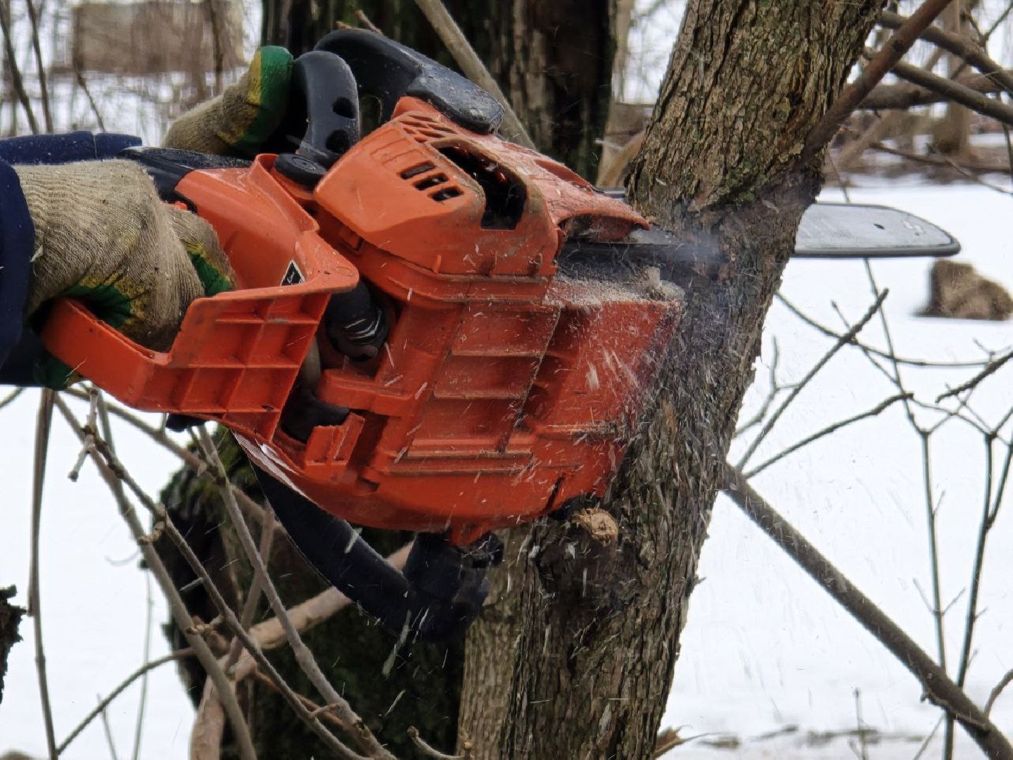 можайск, можайский муниципальный округ, подмосковье, жкх, уборка аварийных деревьев, сухостой, коммунальщики,