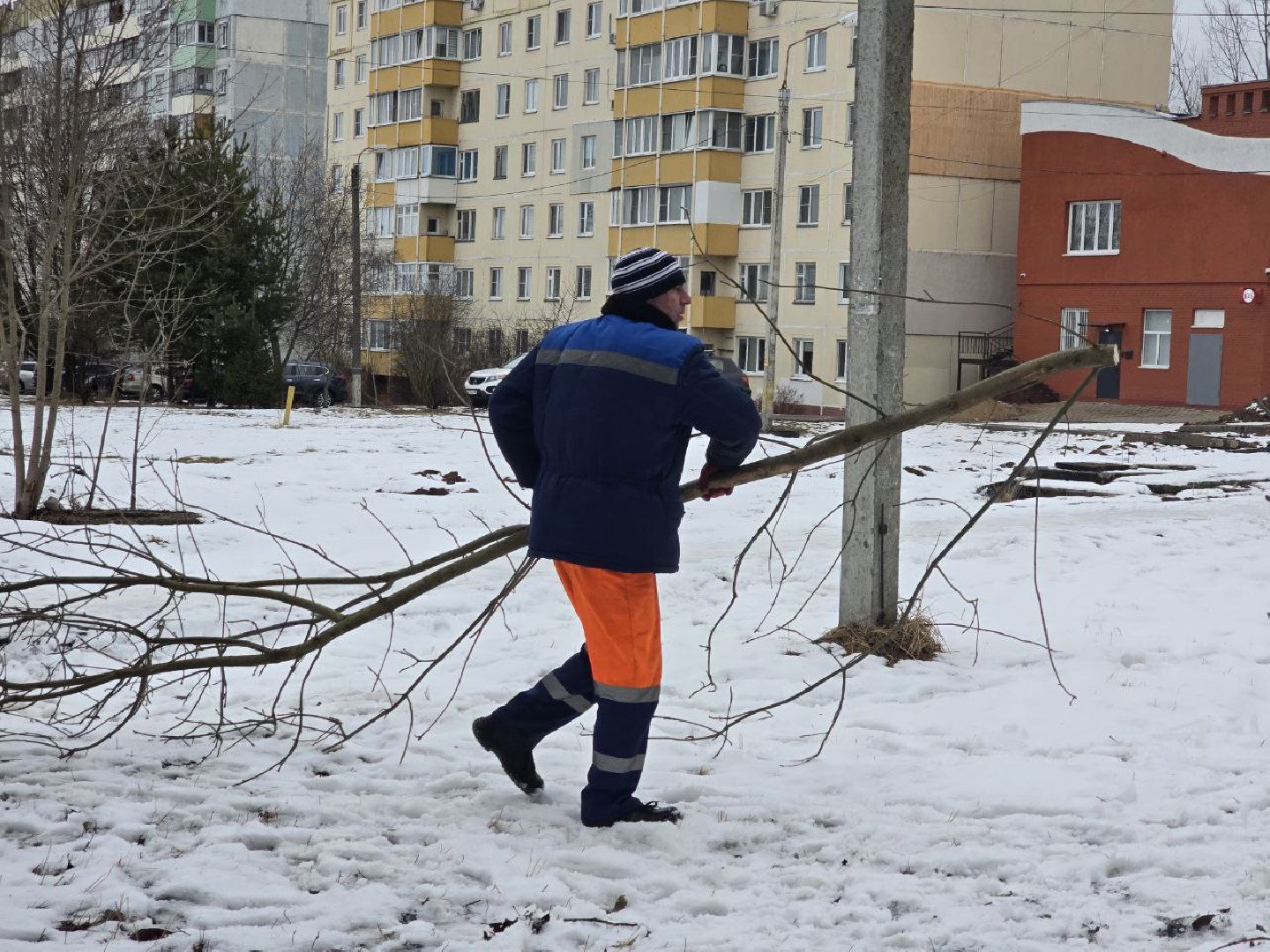 можайск, можайский муниципальный округ, подмосковье, жкх, уборка аварийных деревьев, сухостой, коммунальщики,
