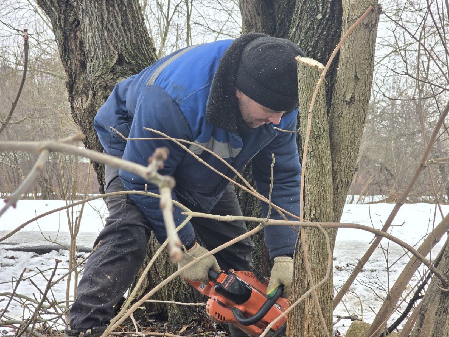 можайск, можайский муниципальный округ, подмосковье, жкх, уборка аварийных деревьев, сухостой, коммунальщики,
