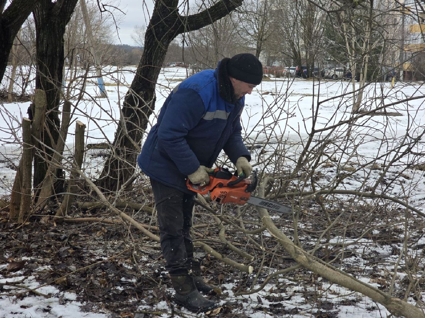 можайск, можайский муниципальный округ, подмосковье, жкх, уборка аварийных деревьев, сухостой, коммунальщики,