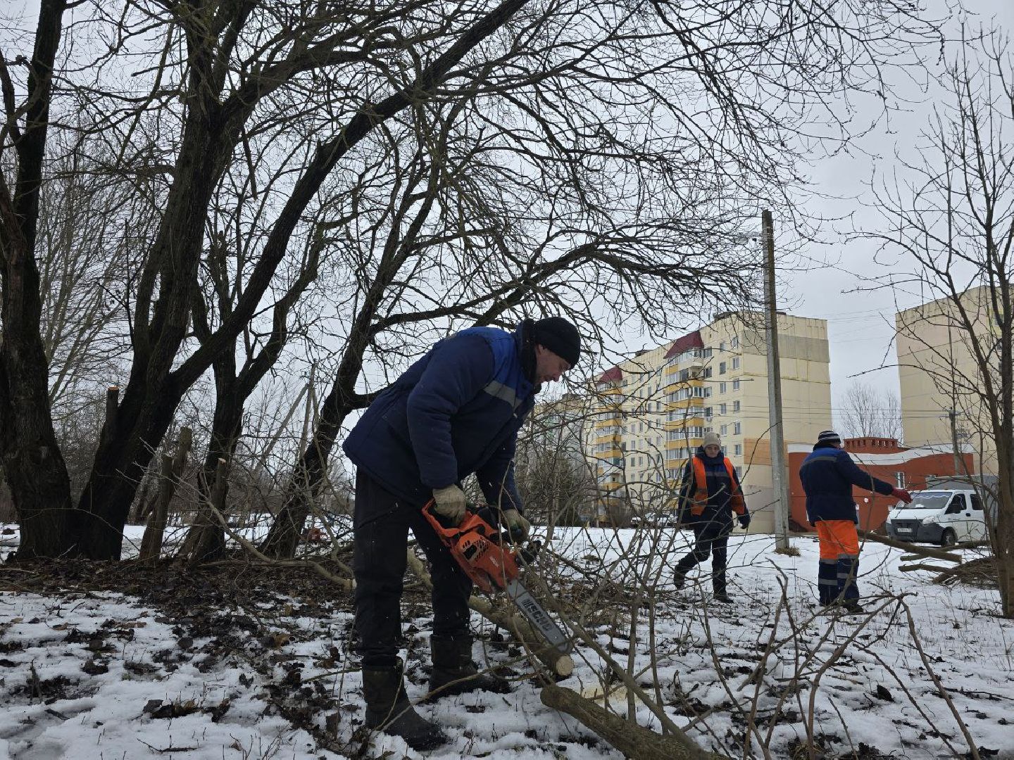 можайск, можайский муниципальный округ, подмосковье, жкх, уборка аварийных деревьев, сухостой, коммунальщики,