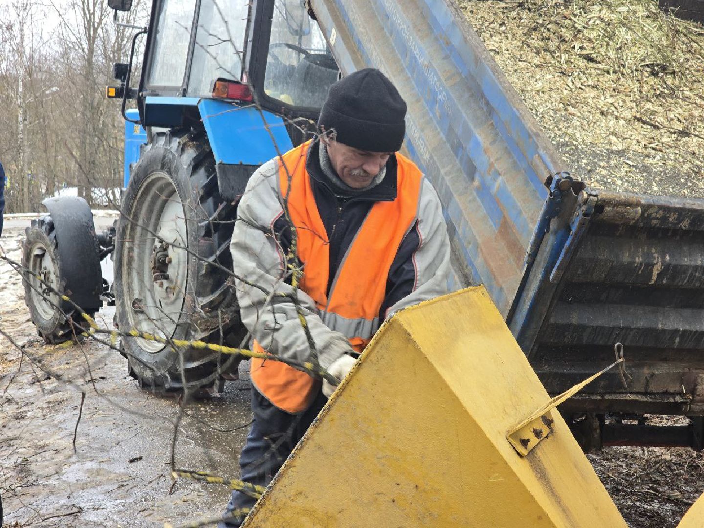 можайск, можайский муниципальный округ, подмосковье, жкх, уборка аварийных деревьев, сухостой, коммунальщики,