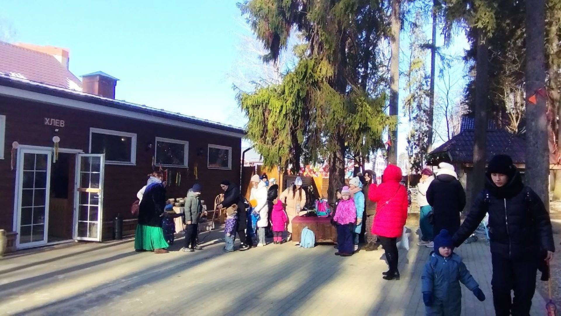 пушкино, экопарк, центр социального обслуживания, дети, масленичная неделя, животные, социальная адаптация,