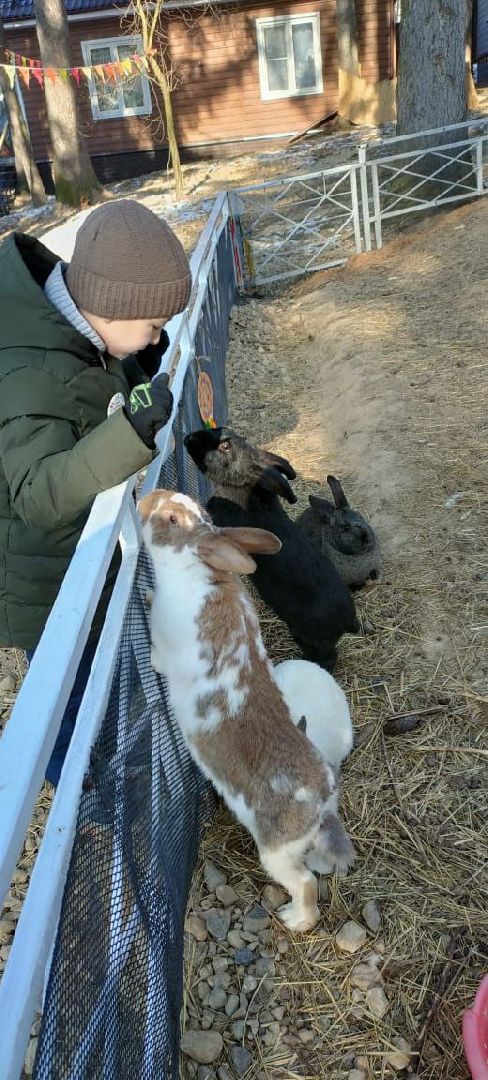 пушкино, экопарк, центр социального обслуживания, дети, масленичная неделя, животные, социальная адаптация,