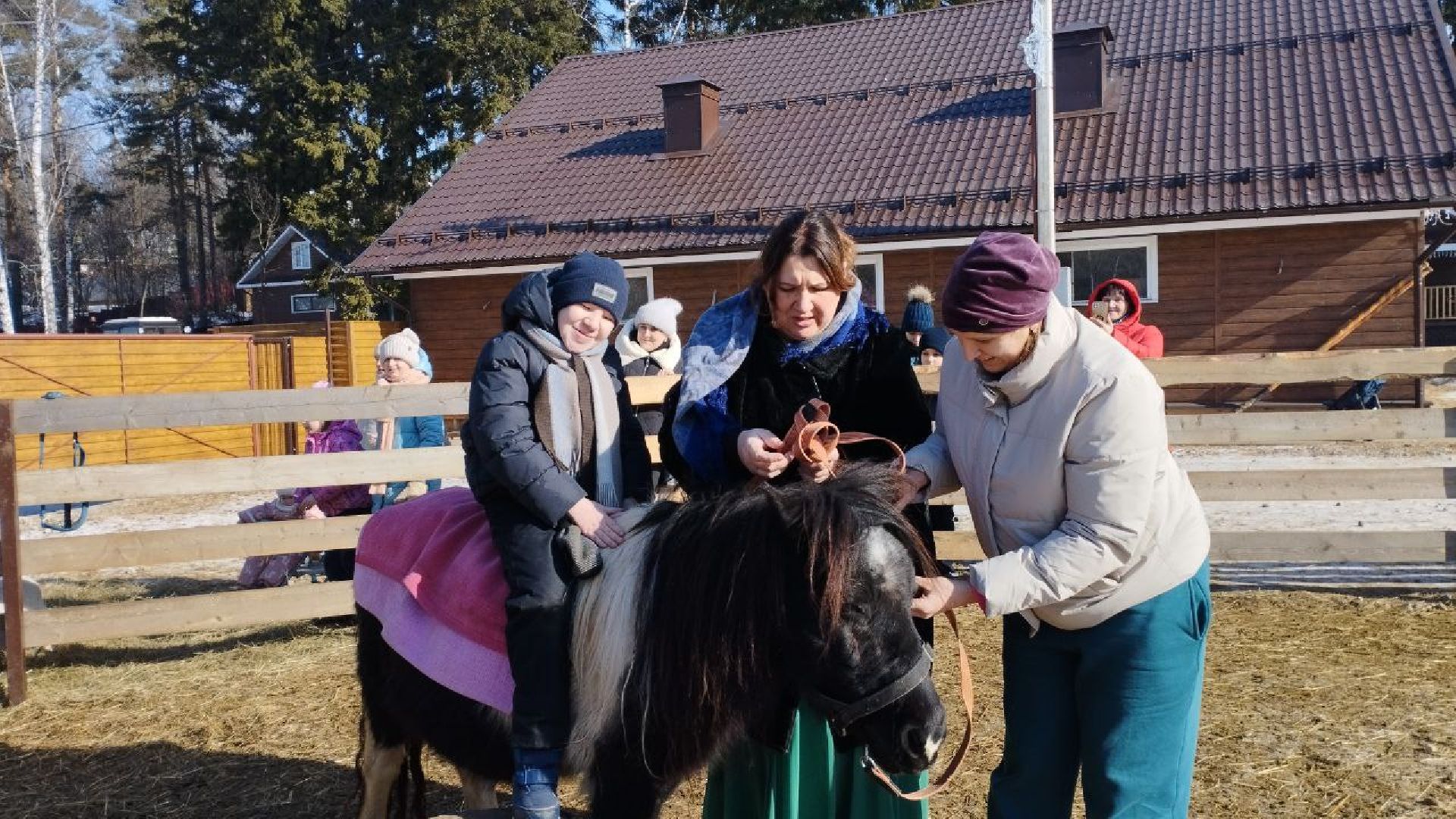 пушкино, экопарк, центр социального обслуживания, дети, масленичная неделя, животные, социальная адаптация,