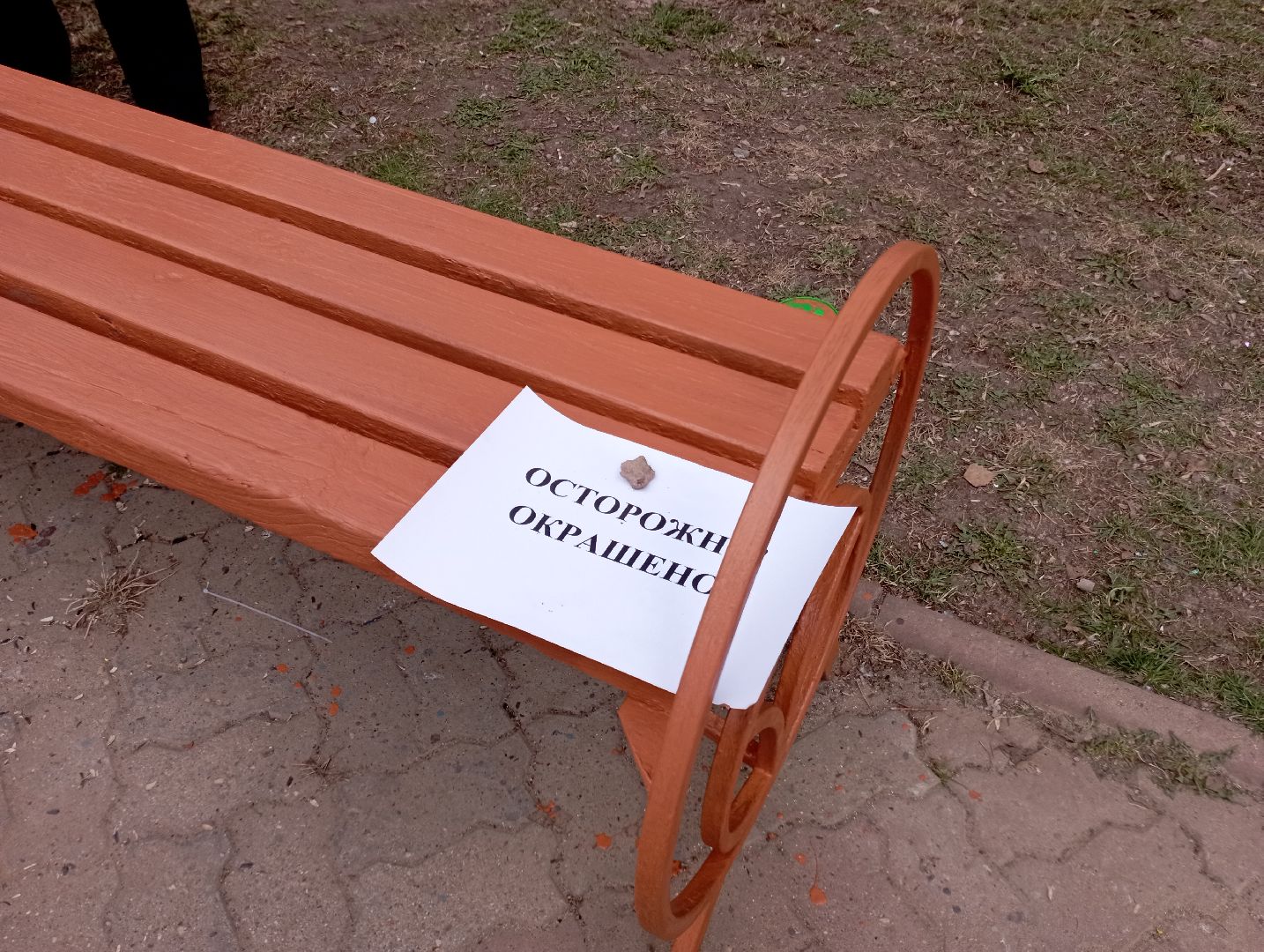 благоустройство, всероссийский субботник, совет ветеранов, Дубна