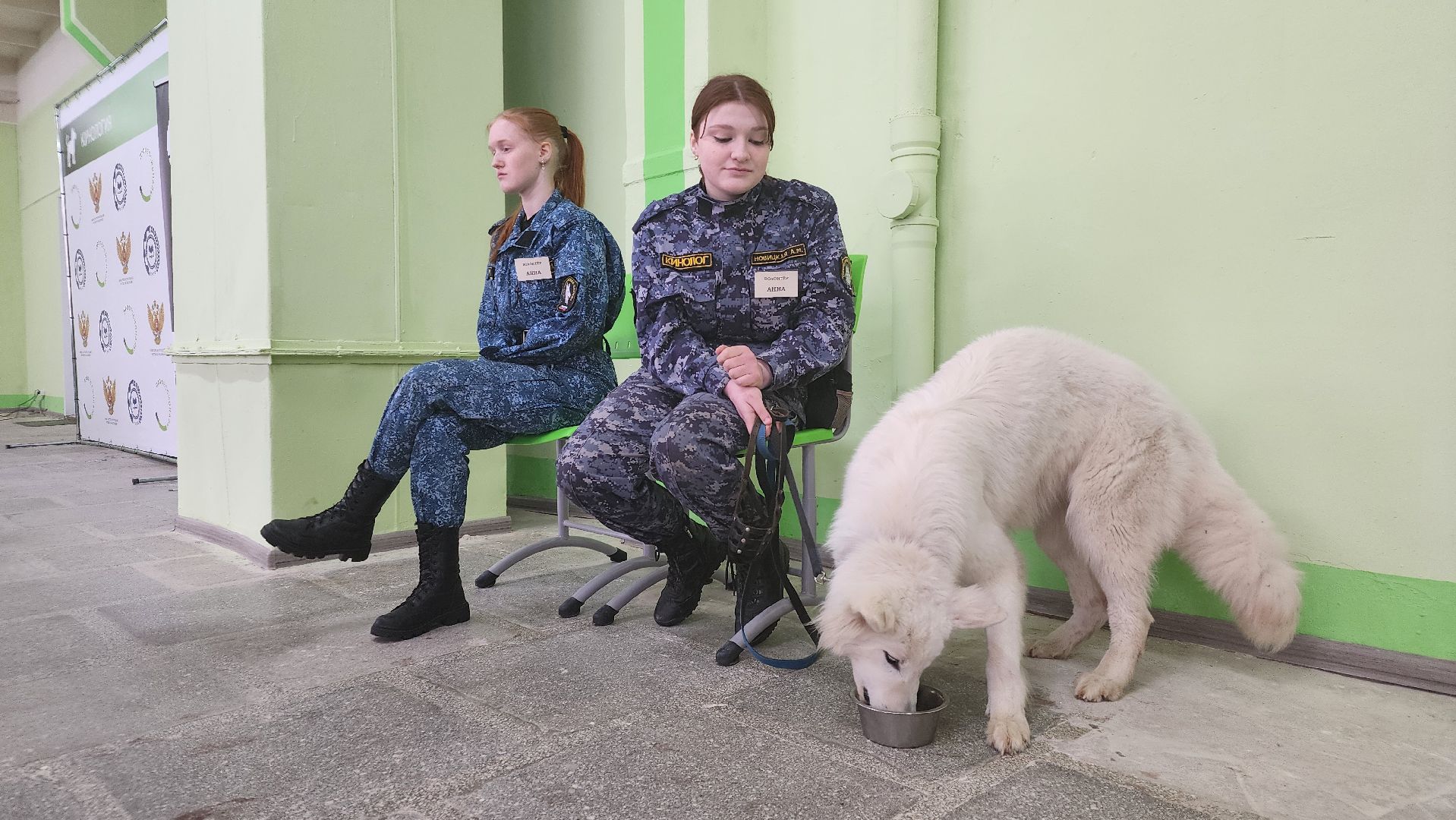 кинологи, чемпионат профессионалы 2025, протвино,