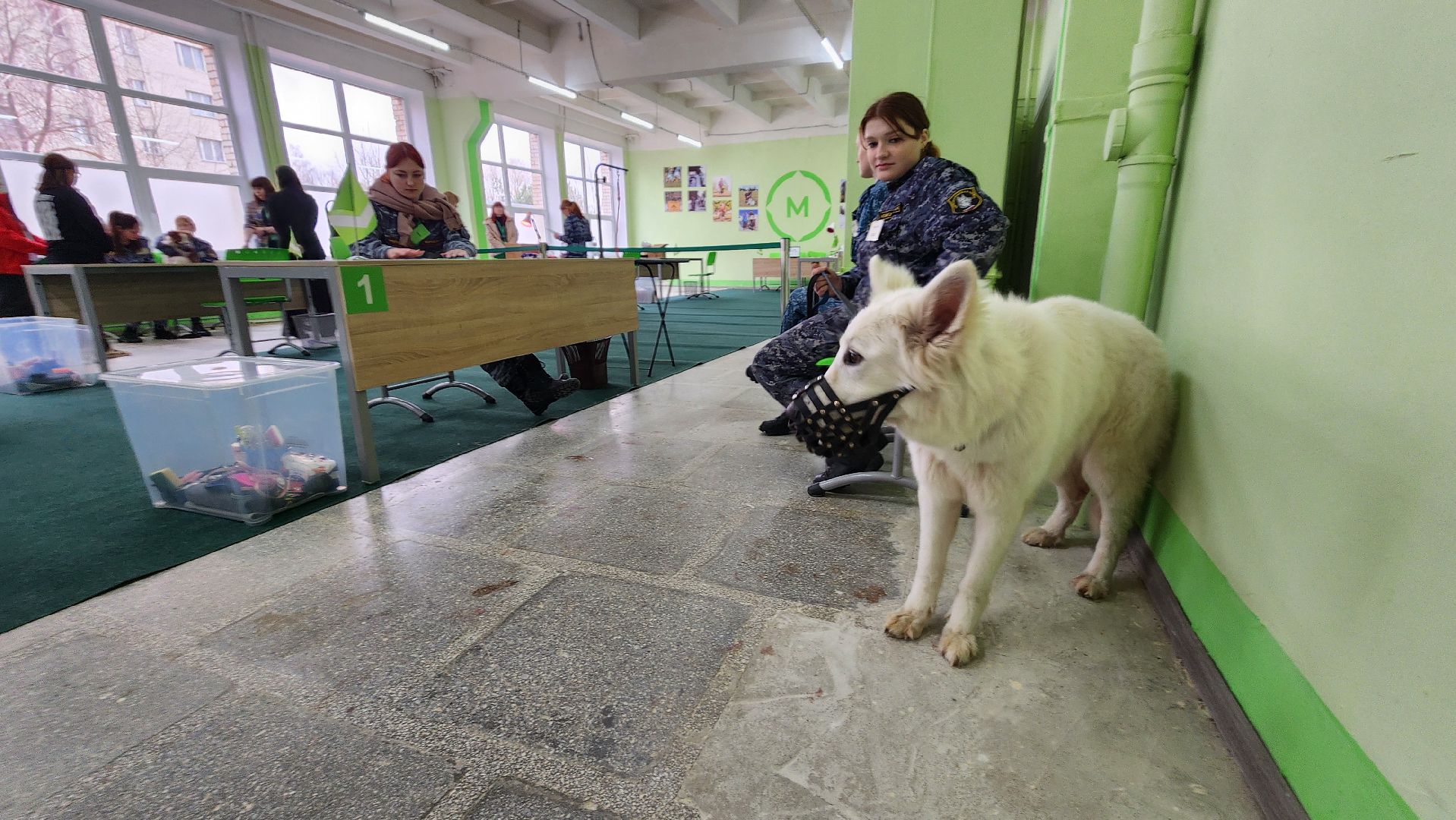 кинологи, чемпионат профессионалы 2025, протвино,