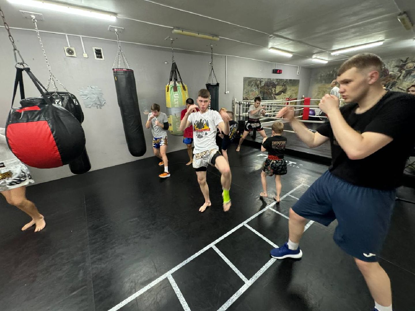 реутов, вертикалки, спорт, международные соревнования, кикбоксинг, победа,