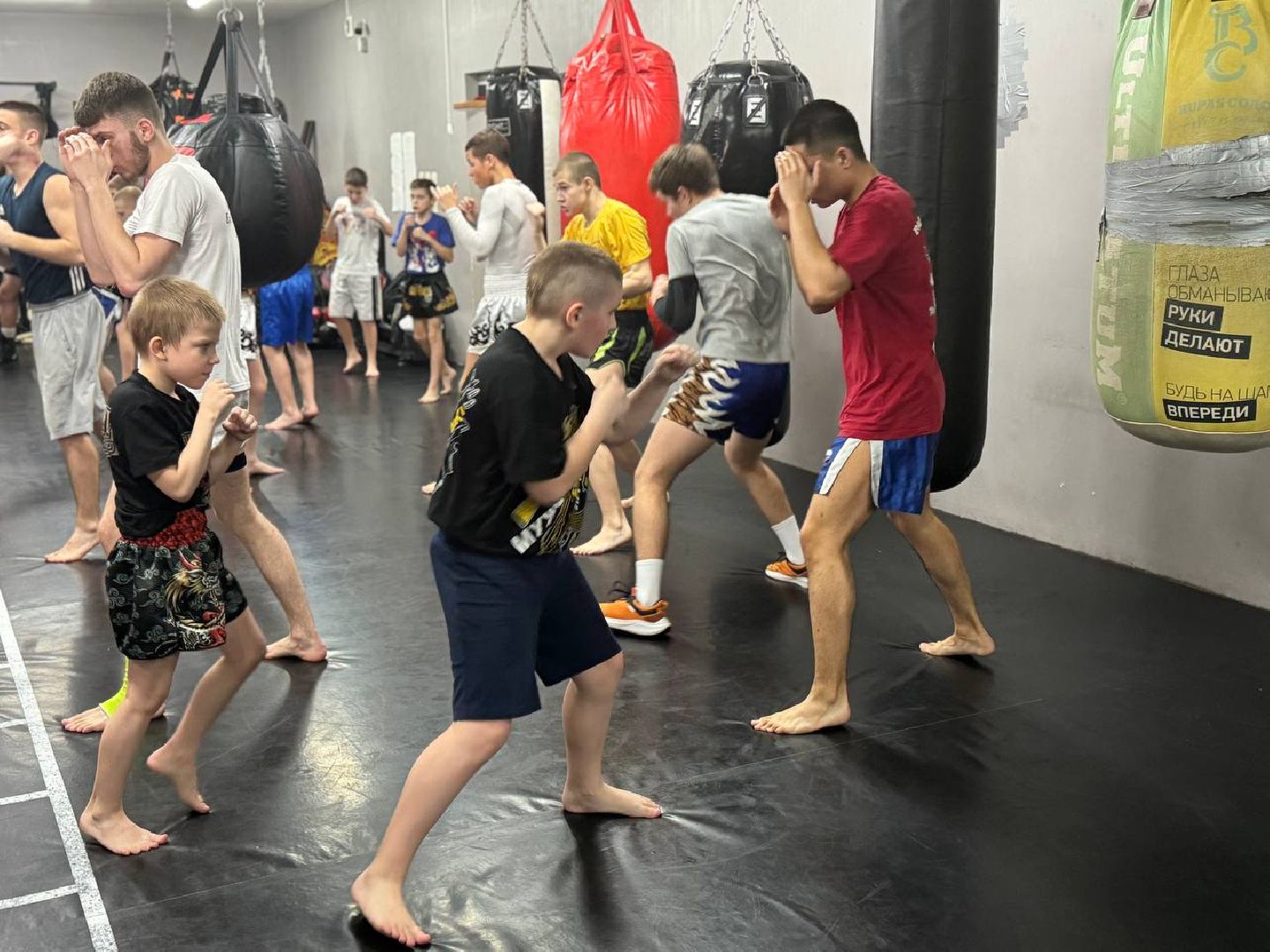 реутов, вертикалки, спорт, международные соревнования, кикбоксинг, победа,