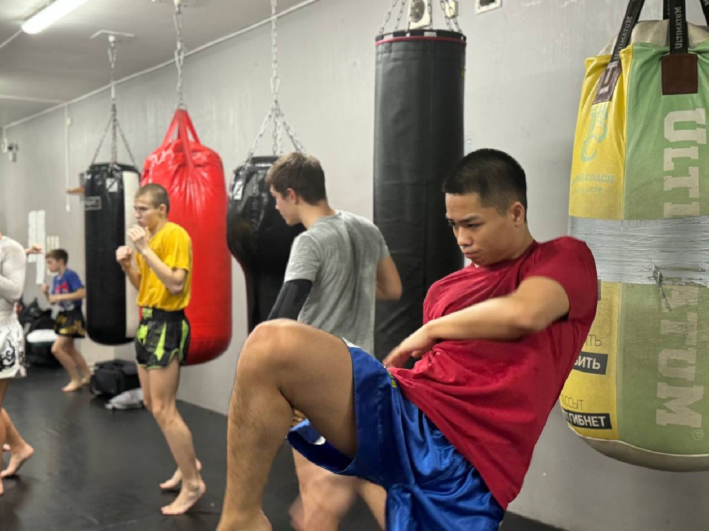реутов, вертикалки, спорт, международные соревнования, кикбоксинг, победа,