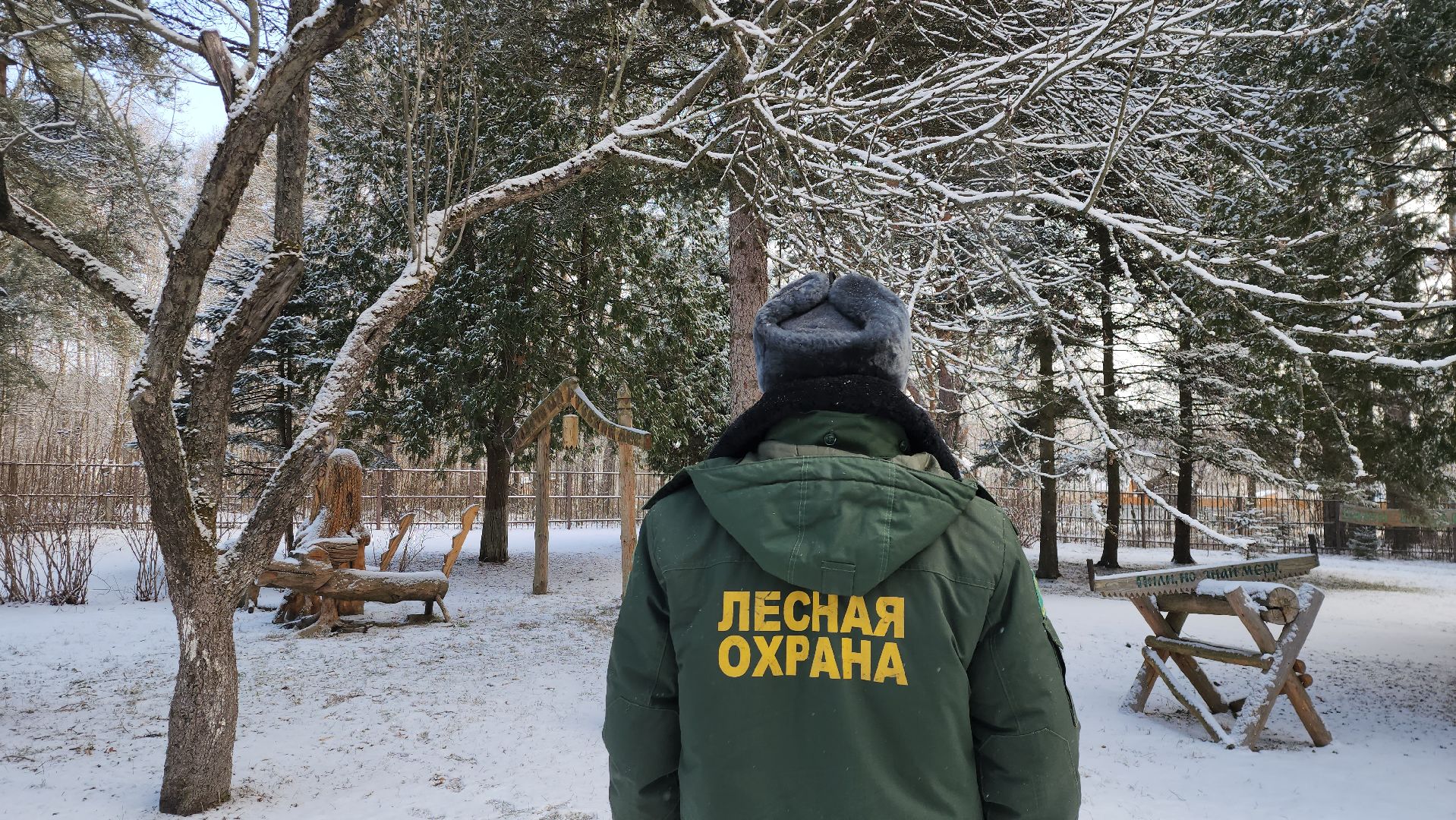 серпухов, подмосковье, русский лес, лесничий,