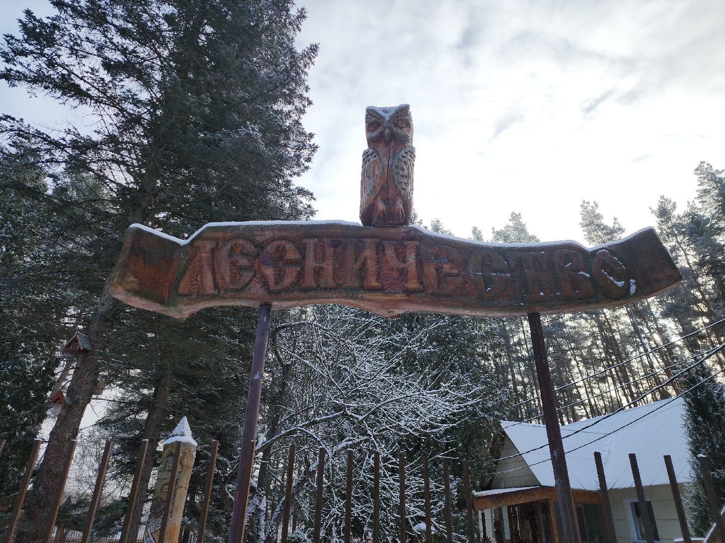 серпухов, подмосковье, русский лес, лесничий,