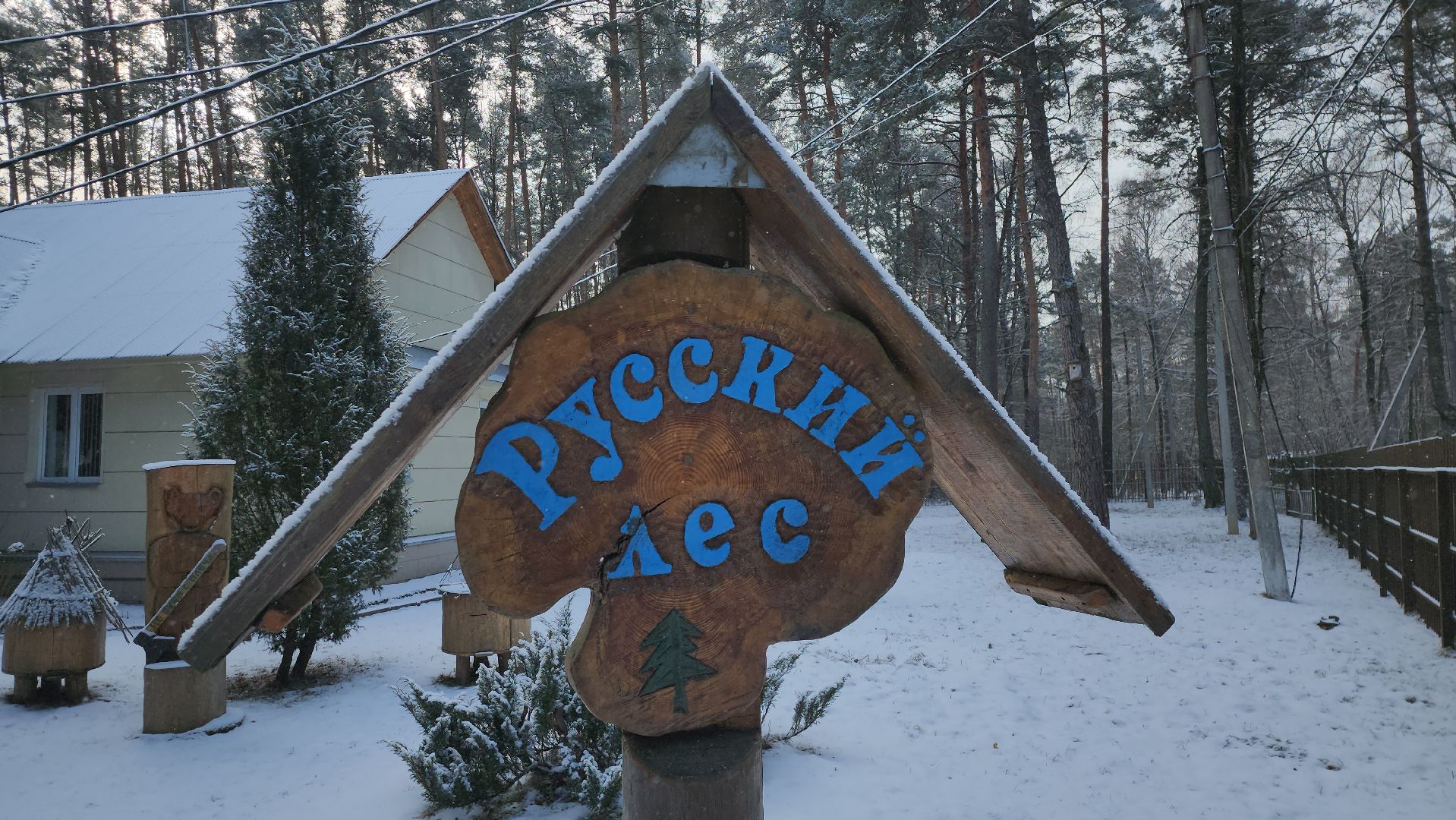 серпухов, подмосковье, русский лес, лесничий,