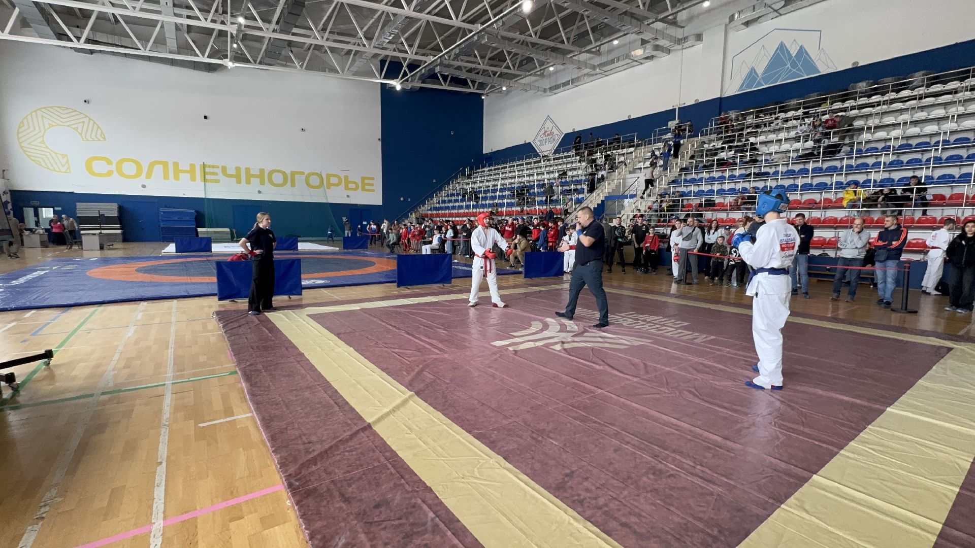 солнечногорск, фестиваль единоборств, спортсмены, победа, медали,