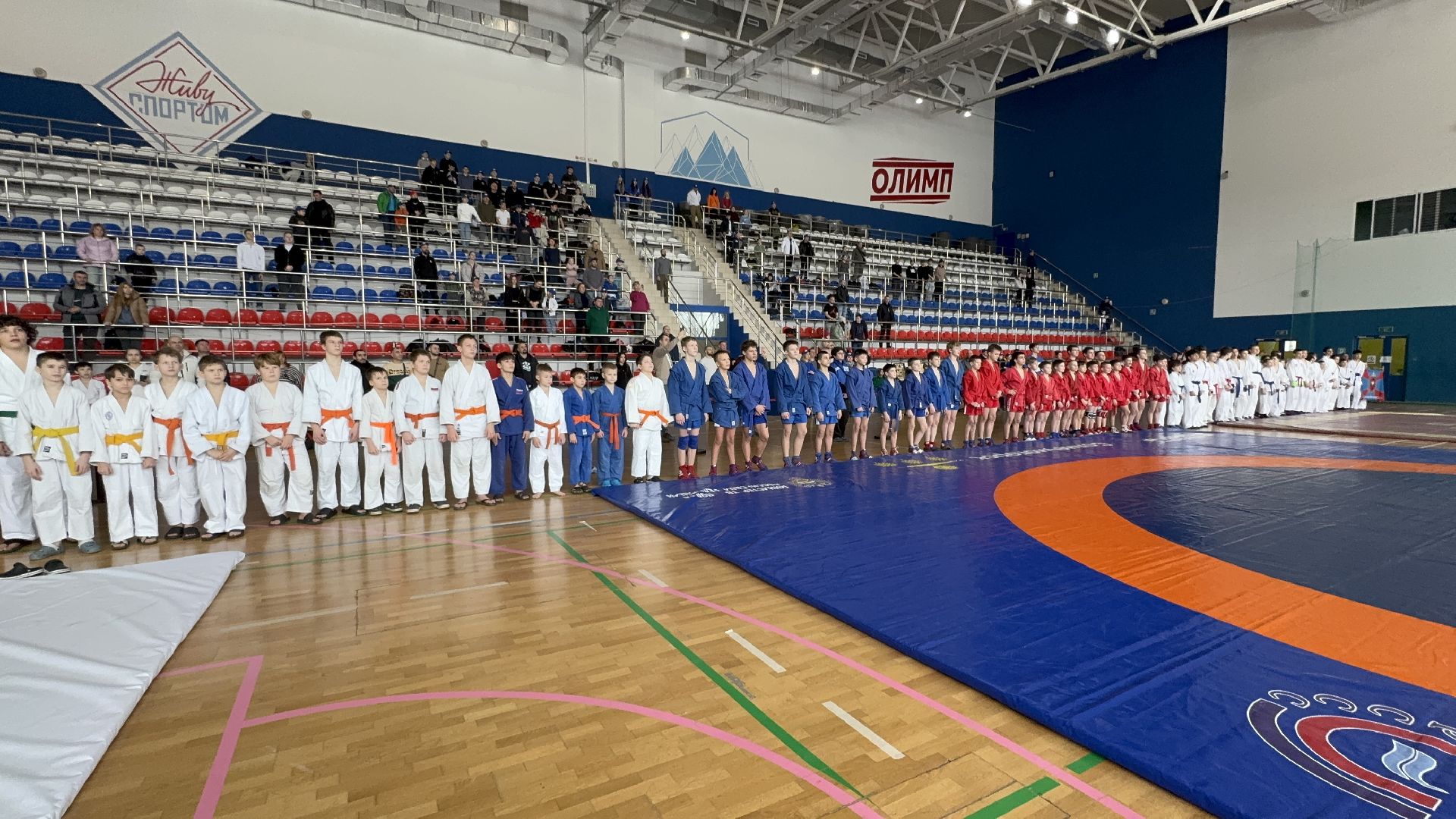 солнечногорск, фестиваль единоборств, спортсмены, победа, медали,