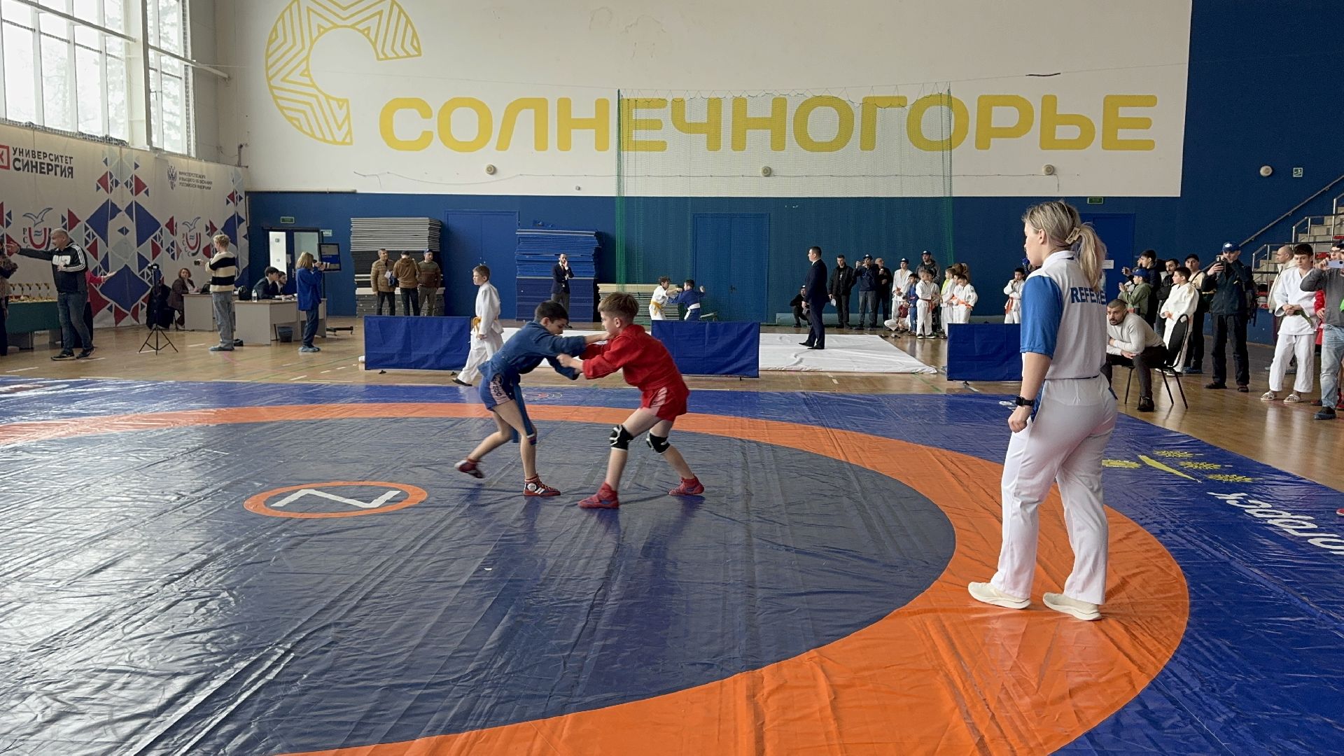 солнечногорск, фестиваль единоборств, спортсмены, победа, медали,