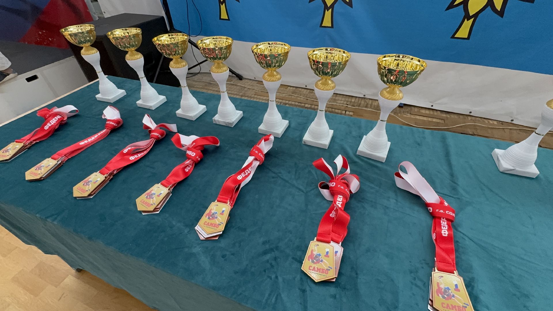 солнечногорск, фестиваль единоборств, спортсмены, победа, медали,