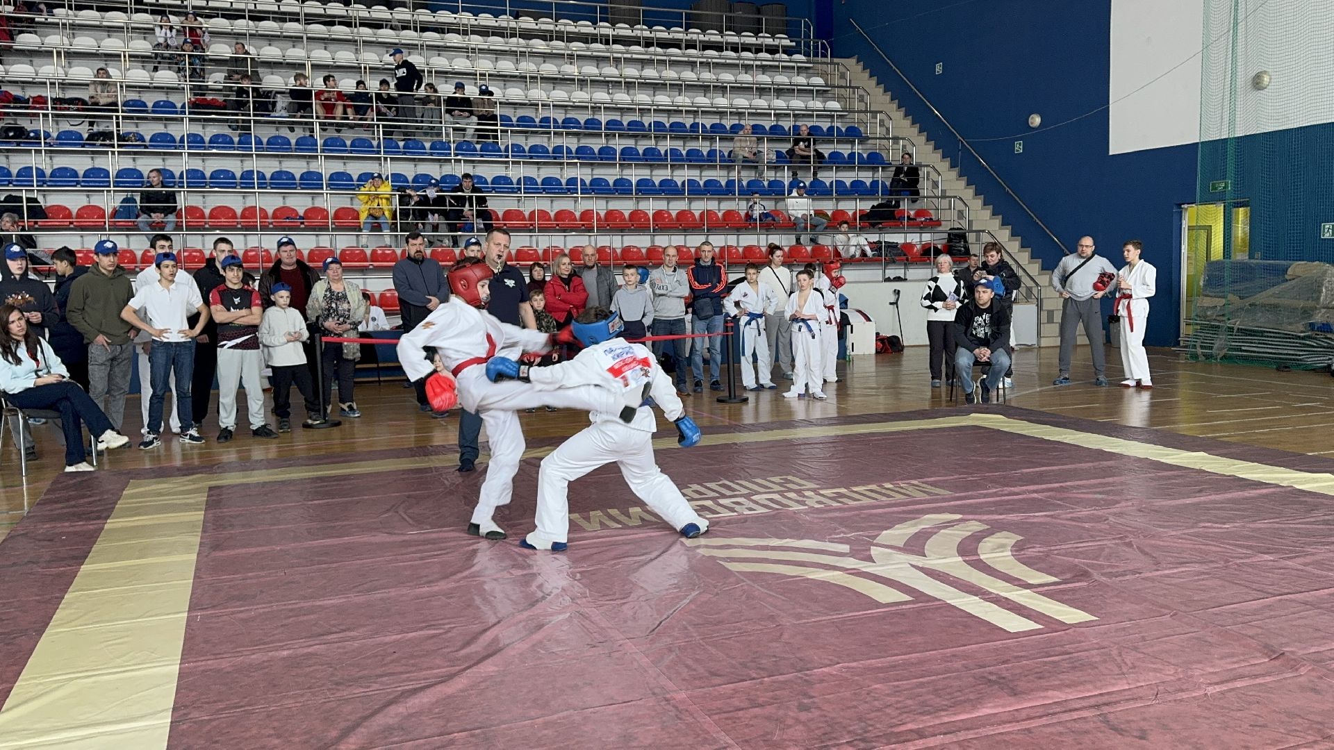 солнечногорск, фестиваль единоборств, спортсмены, победа, медали,