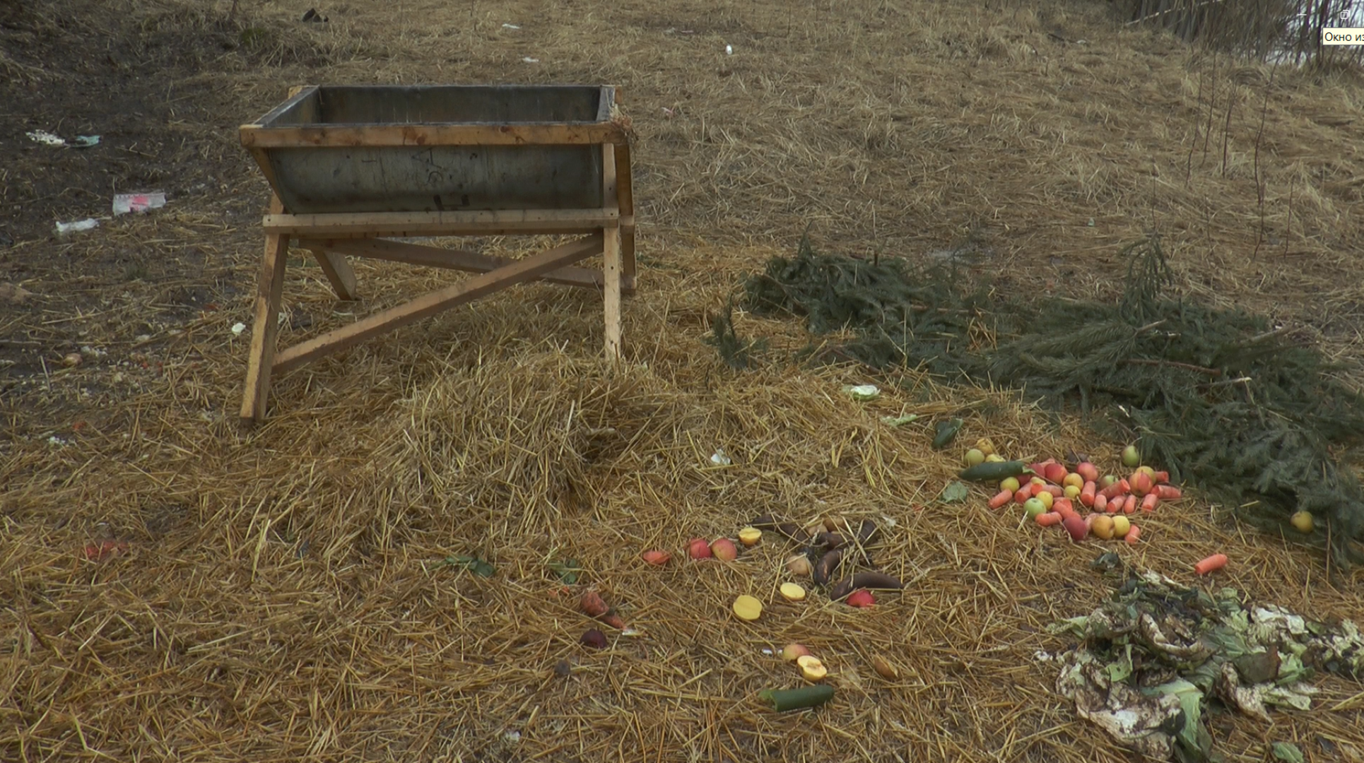 Дмитров, Охотнадзор, Минэкологии, Лось,