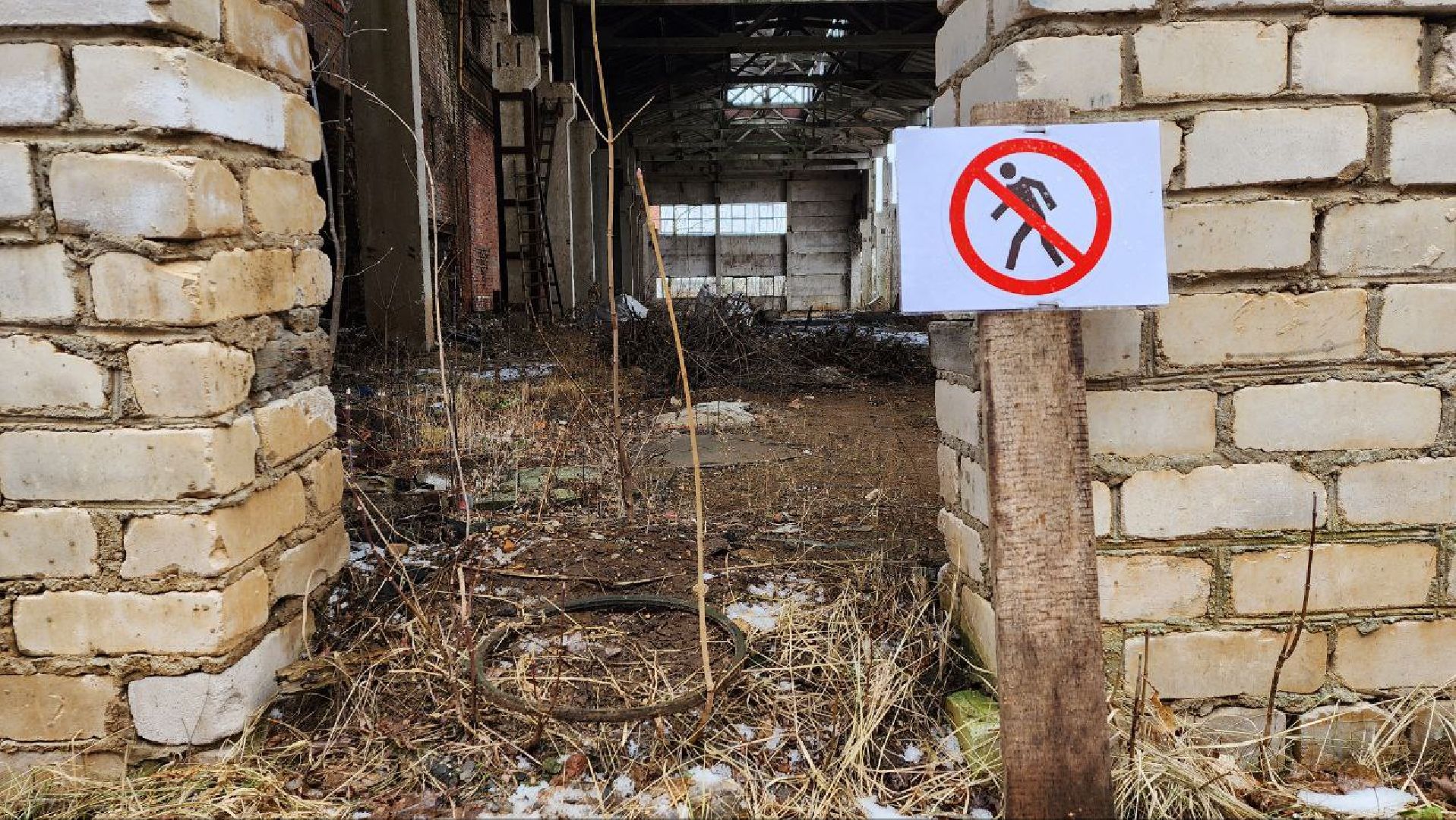 Дмитров, Охотнадзор, Минэкологии, Лось,