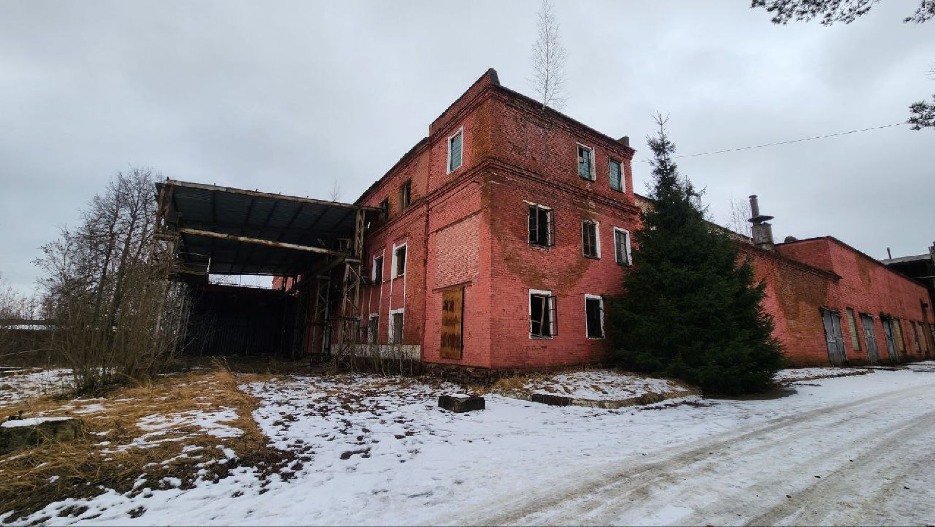 Дмитров, Охотнадзор, Минэкологии, Лось,