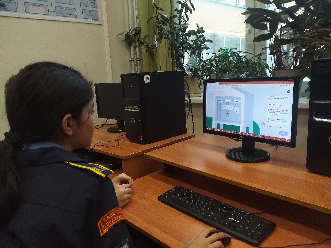 Лосино-Петровский, общество