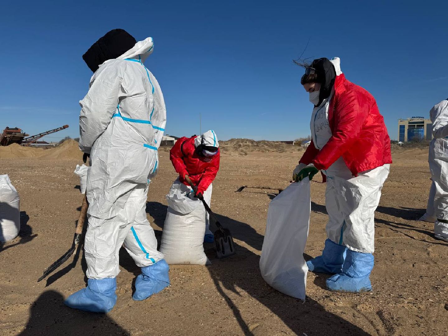 Волонтеры Подмосковья, Экология, Анапа, Лосино-Петровский, вертикалки