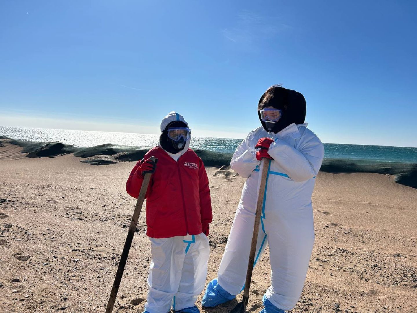 Волонтеры Подмосковья, Экология, Анапа, Лосино-Петровский, вертикалки