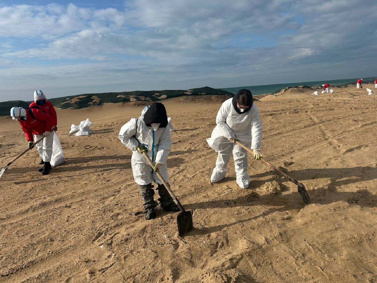 Волонтеры Подмосковья, Экология, Анапа, Лосино-Петровский, вертикалки