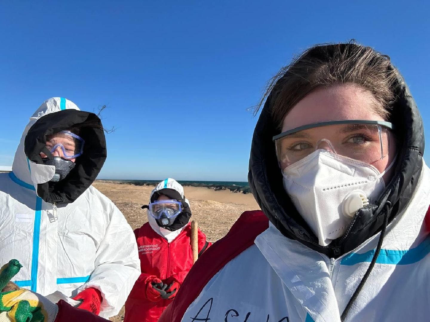 Волонтеры Подмосковья, Экология, Анапа, Лосино-Петровский, вертикалки