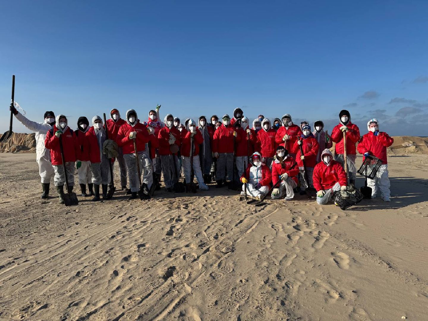 Волонтеры Подмосковья, Экология, Анапа, Лосино-Петровский, вертикалки