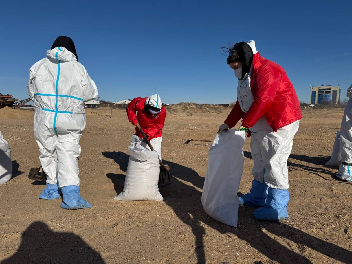 Волонтеры Подмосковья, Экология, Анапа, Лосино-Петровский, вертикалки