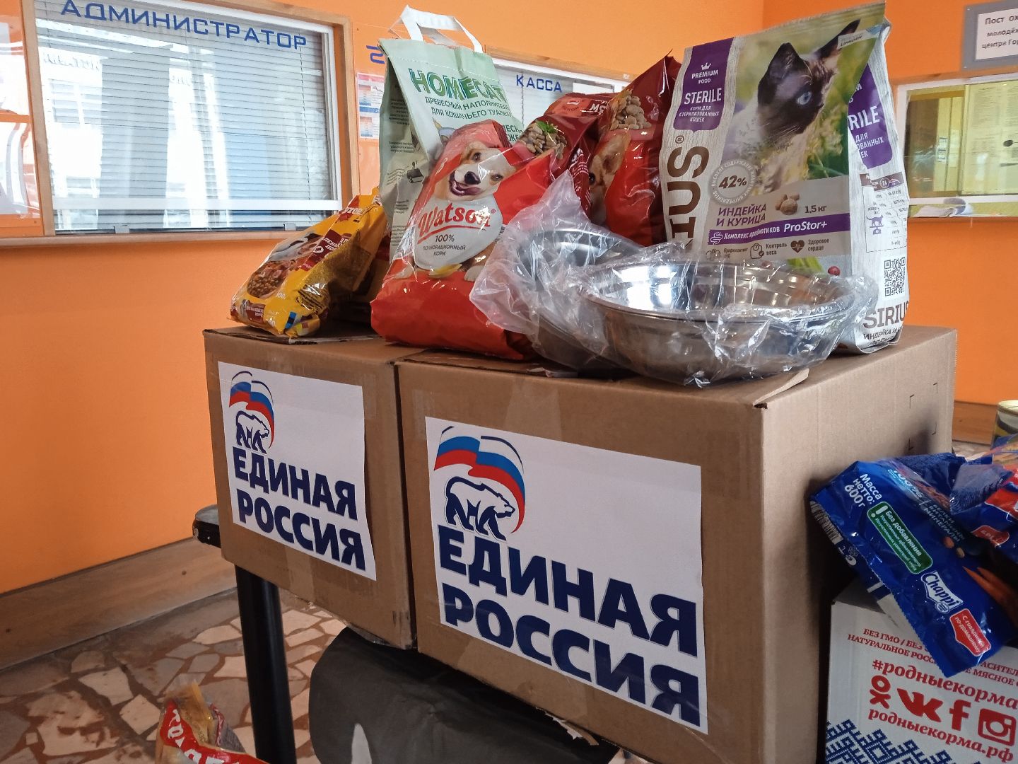 Коломна, благотворительная акция, помощь бездомным животным, молодая гвардия,