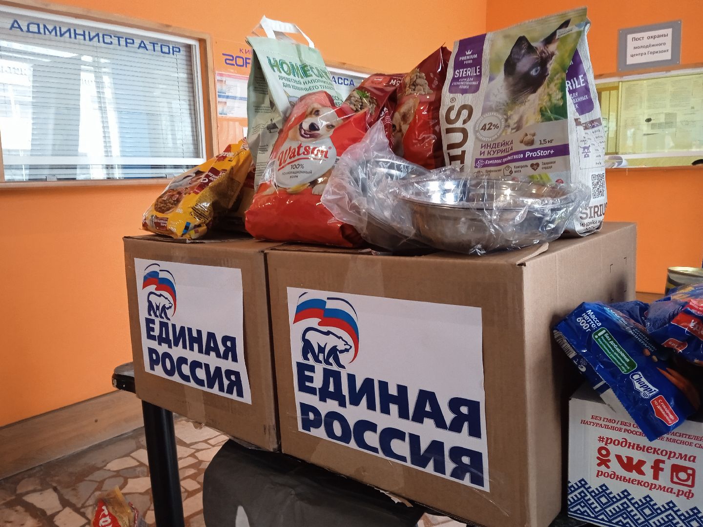 Коломна, благотворительная акция, помощь бездомным животным, молодая гвардия,