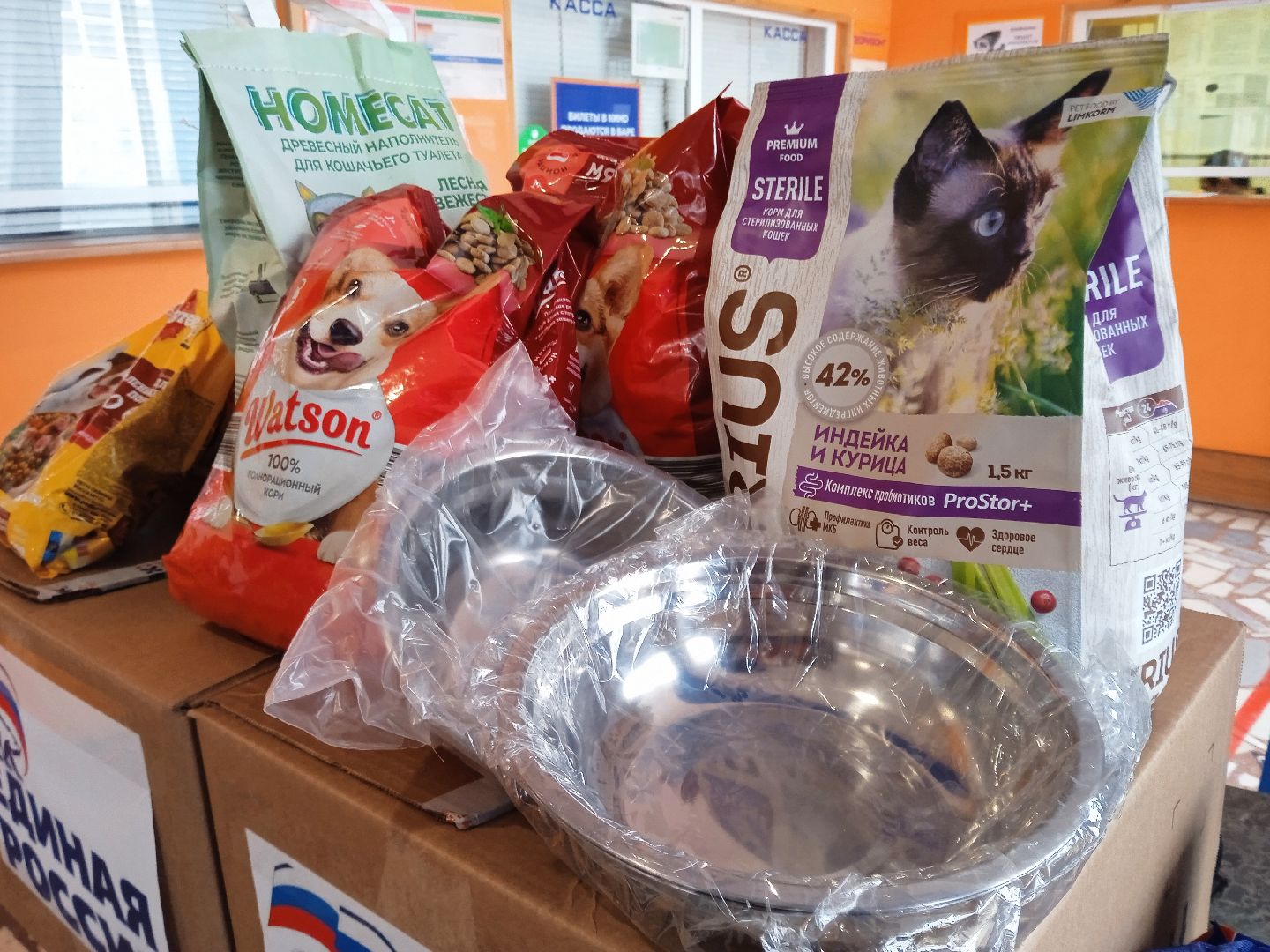 Коломна, благотворительная акция, помощь бездомным животным, молодая гвардия,