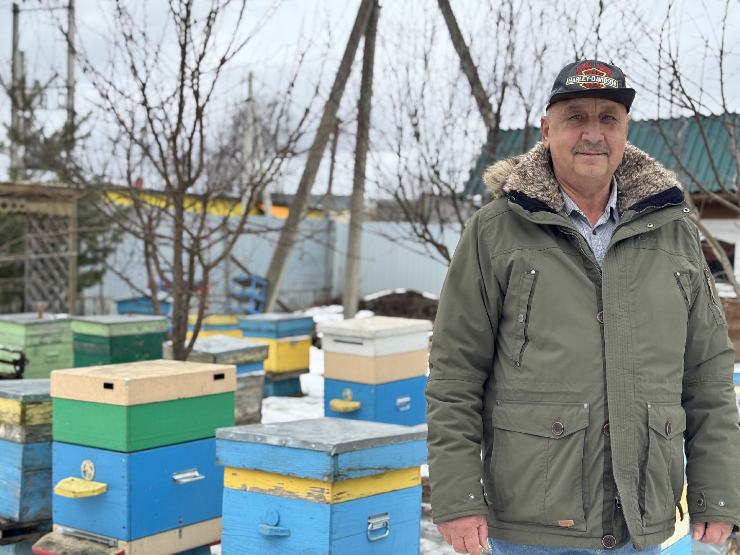 шаховская, мёд, пчеловод, конкурс, вертикалки,