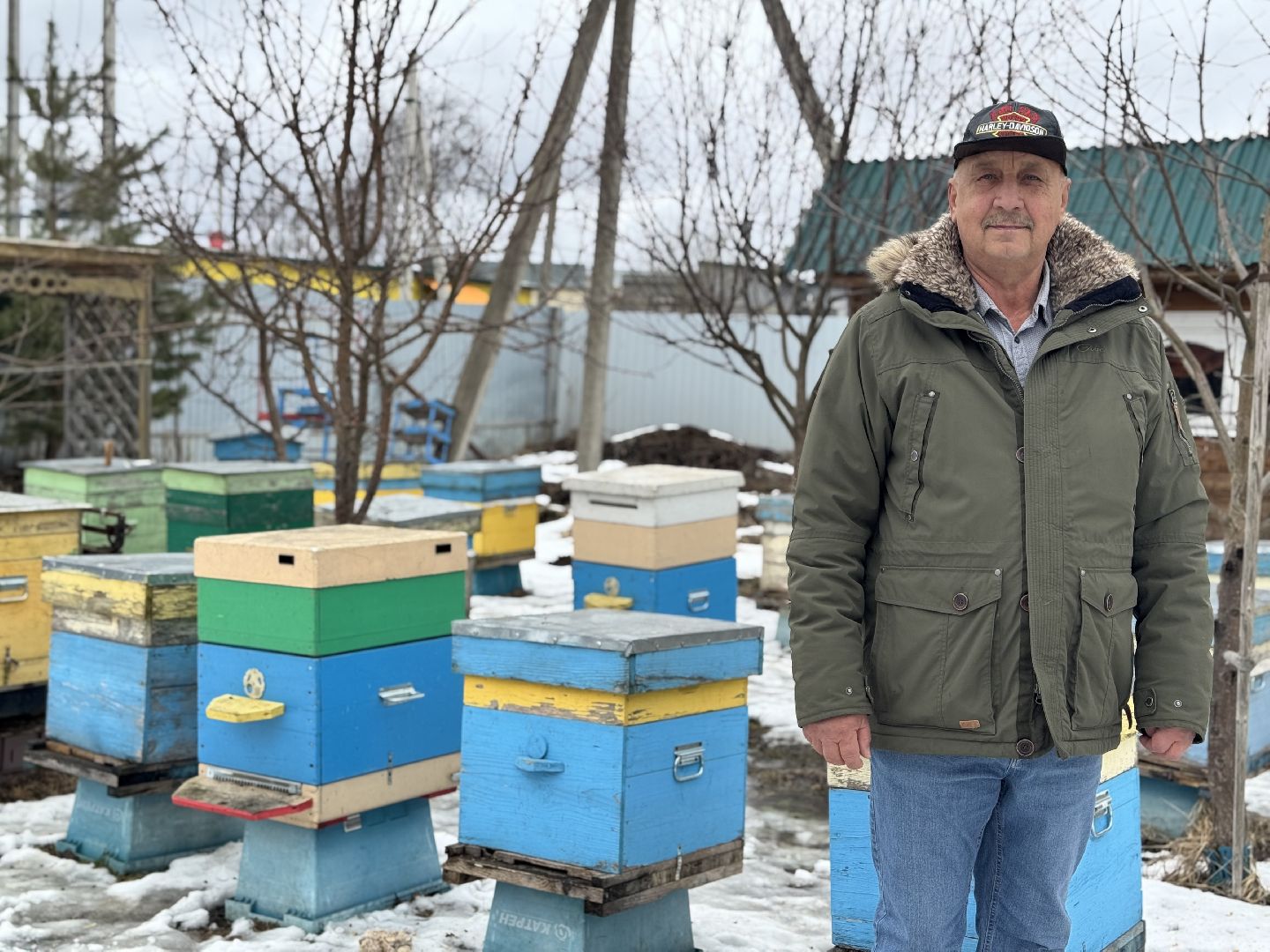 шаховская, мёд, пчеловод, конкурс, вертикалки,