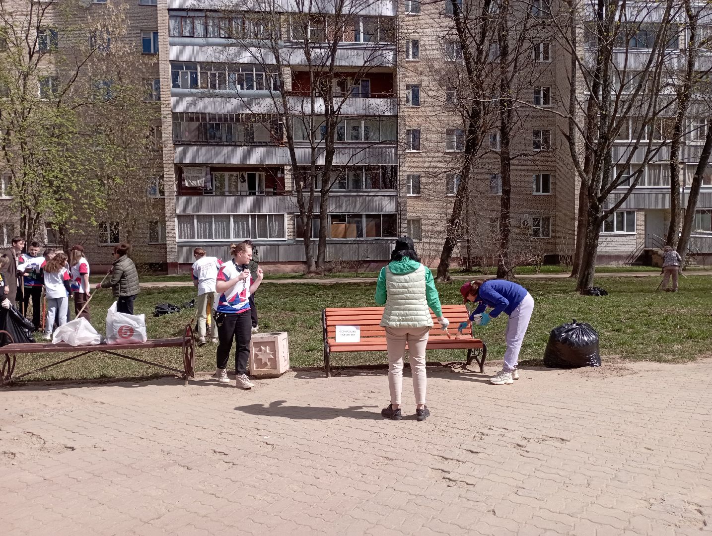 благоустройство, субботник, сквер, Дубна