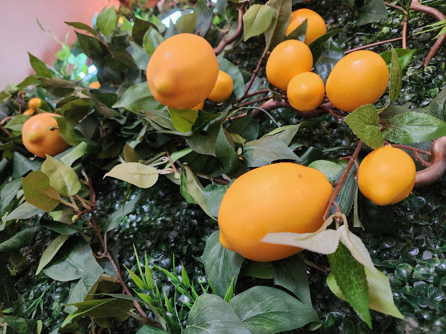 вертикалки, мытищи,