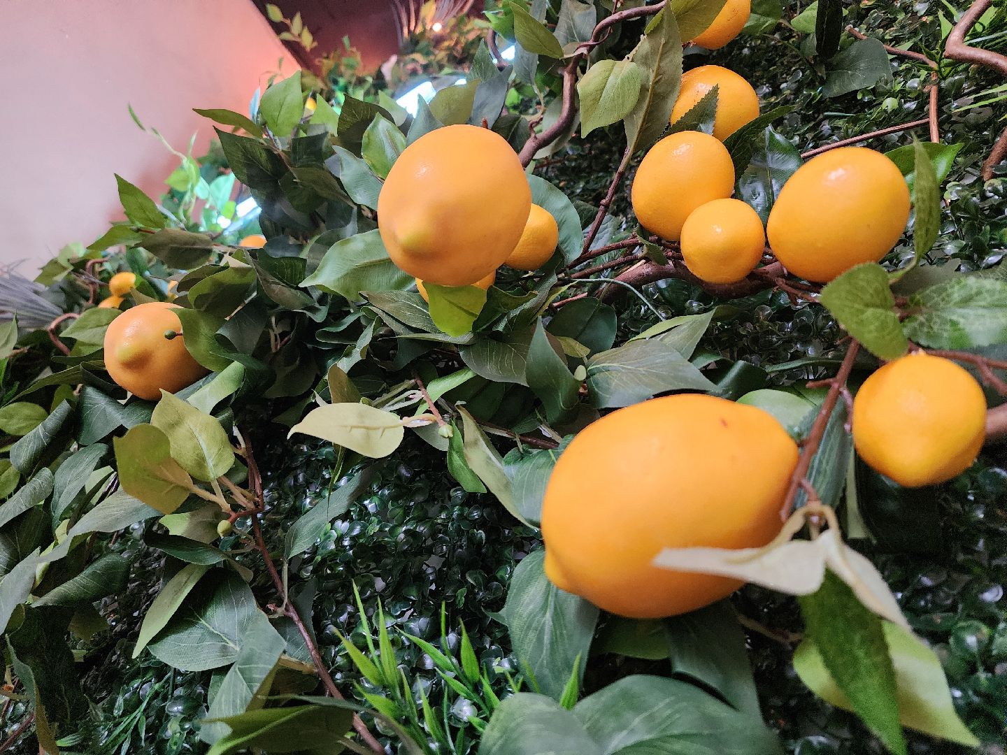 вертикалки, мытищи,