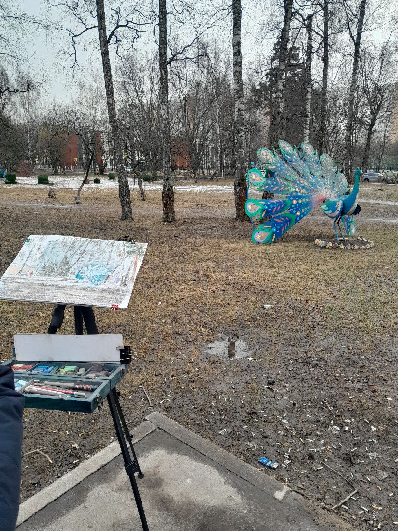 художник, балашиха, аавлино, плэнер, картины,