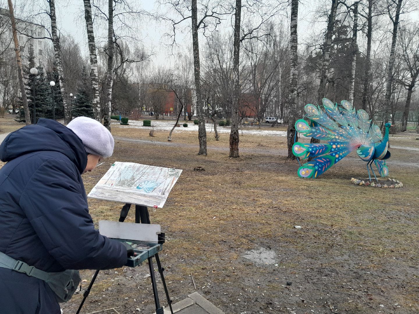 художник, балашиха, аавлино, плэнер, картины,