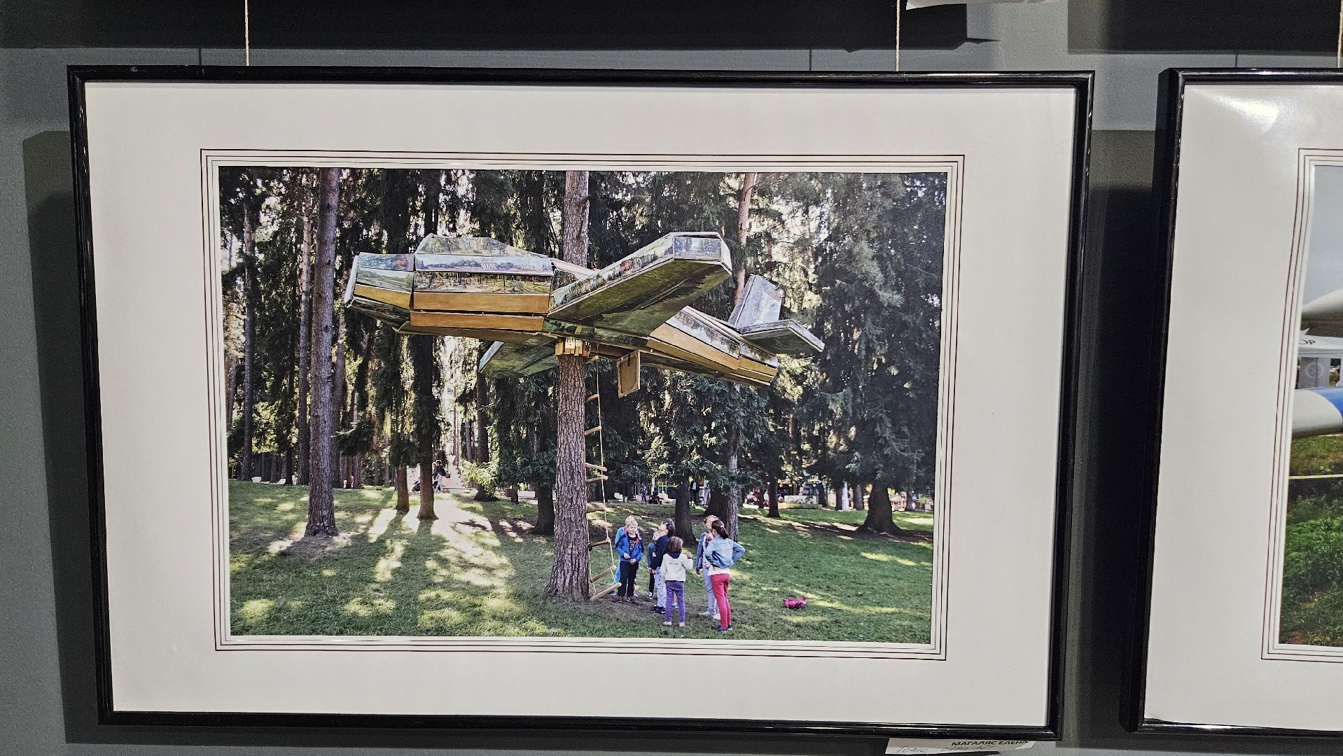 выставка, фотография, самолеты, жуковский, цаги,