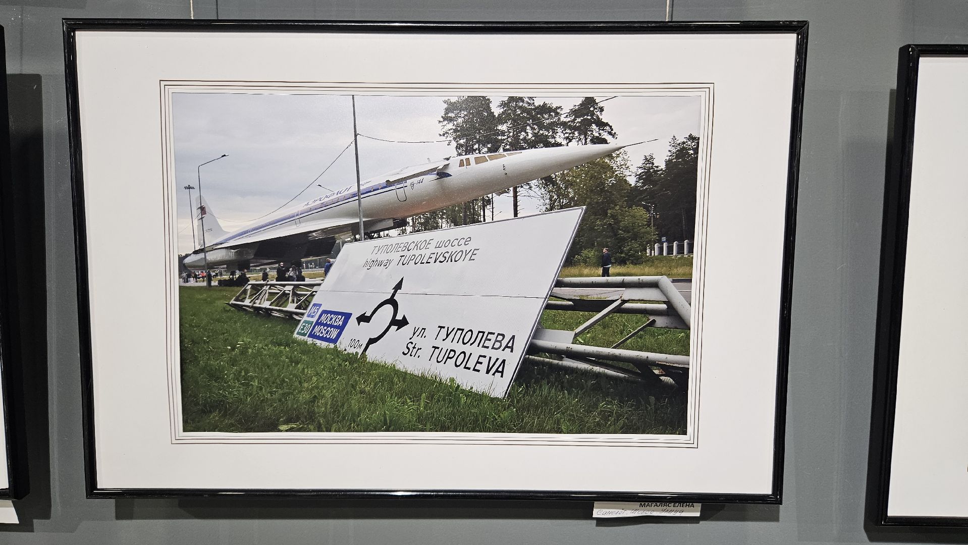 выставка, фотография, самолеты, жуковский, цаги,