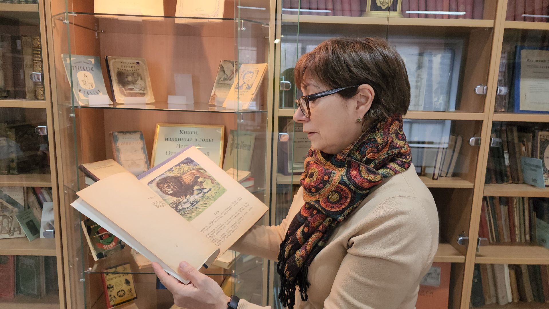 красноармейск, городской округ пушкинский, музей книги, 80 - летие победы,