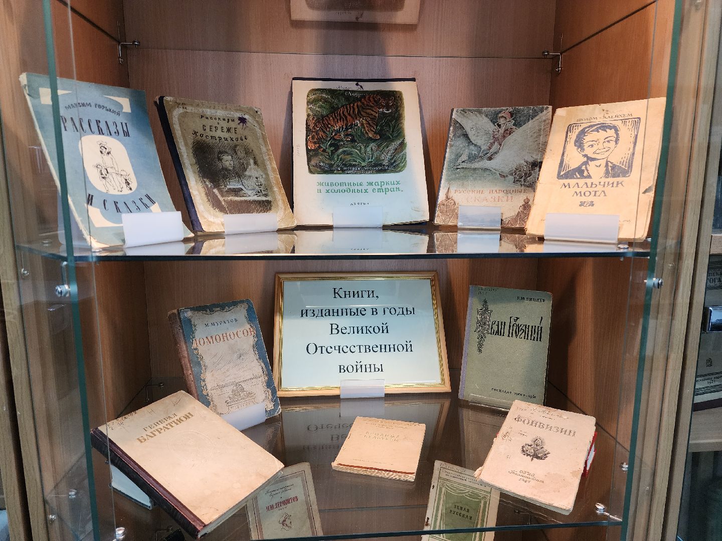 красноармейск, городской округ пушкинский, музей книги, 80 - летие победы,
