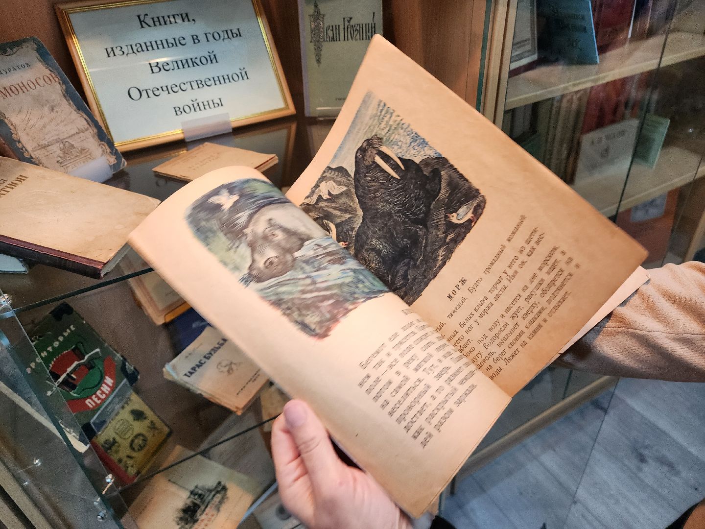 красноармейск, городской округ пушкинский, музей книги, 80 - летие победы,