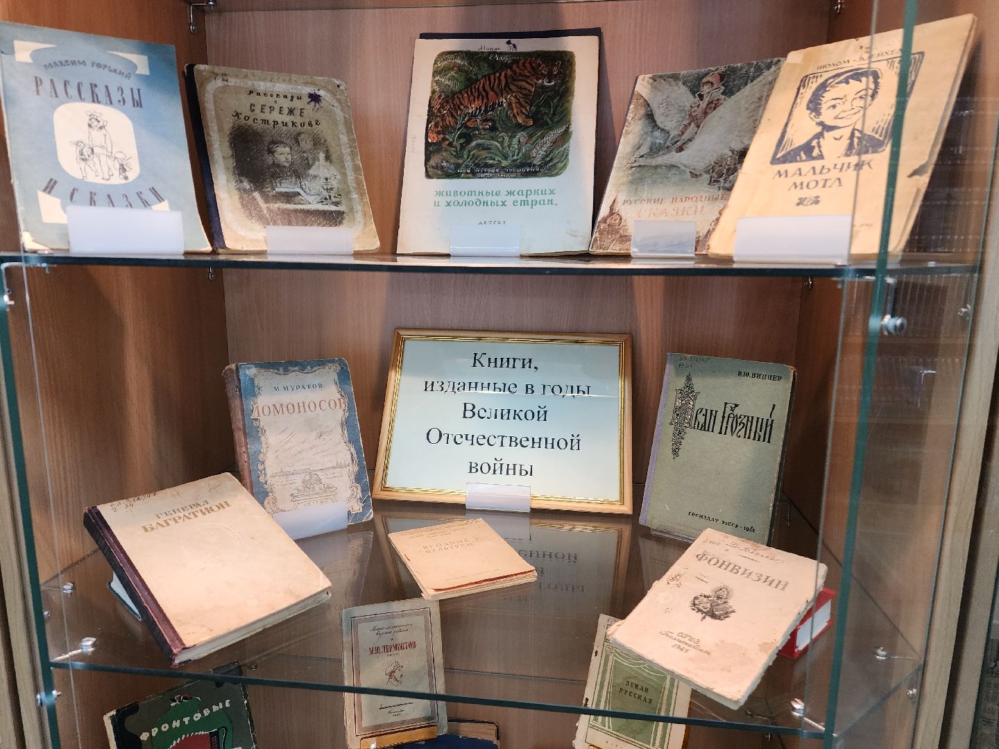 красноармейск, городской округ пушкинский, музей книги, 80 - летие победы,